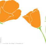 California Poppies misc art & design