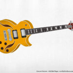 ZEMAITIS Virtuoso Instruments - guitar fanart
