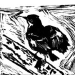 Mockingbird misc art & design