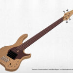 Dingwall Combustion bass - Western Kami Band instruments