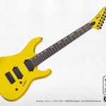 Edwards ESP E-M-II-7-YLM